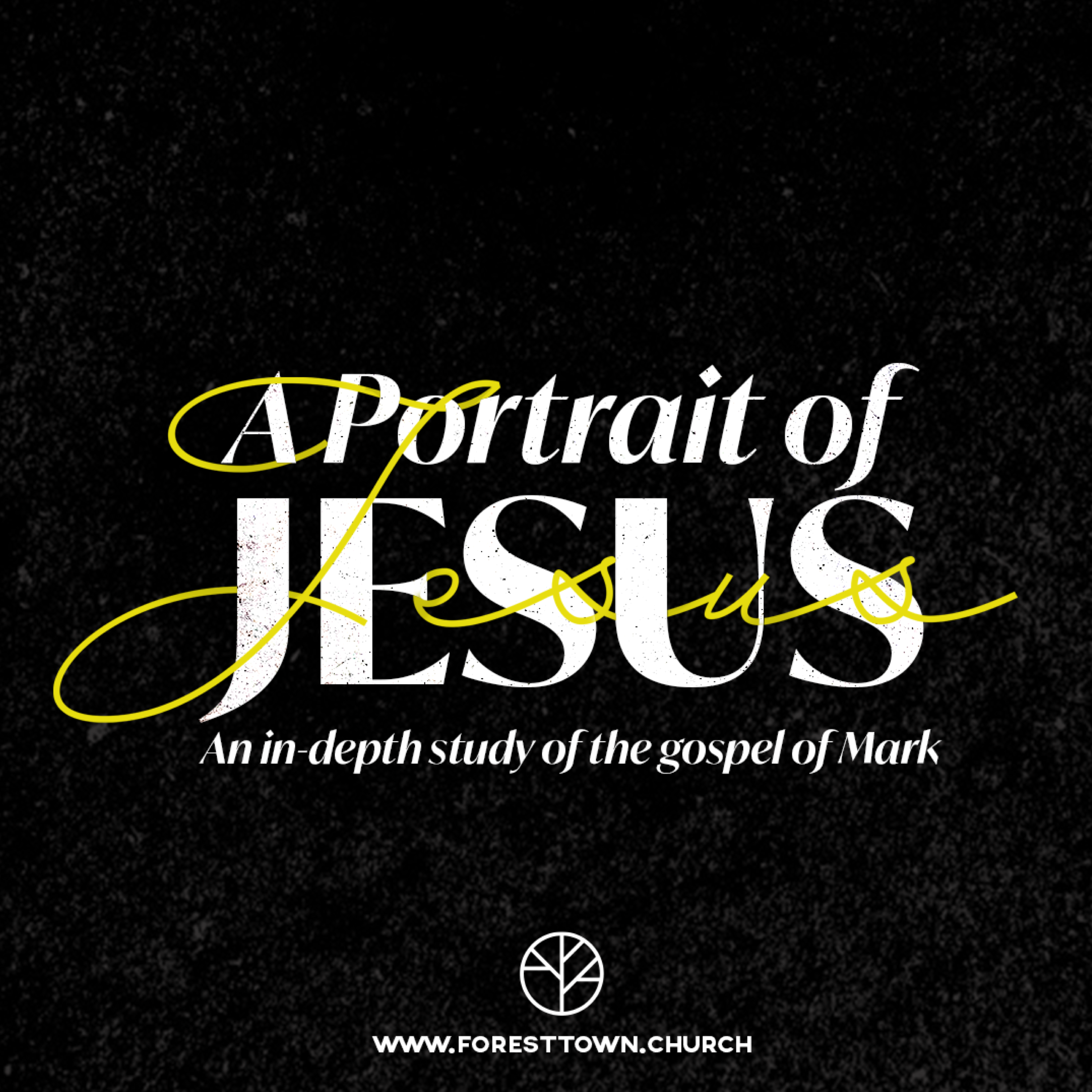 A Portrait Of Jesus - Part 30 - The Great Discovery